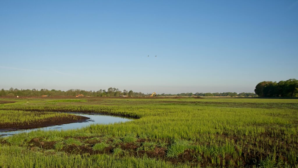 Scenic view of nature reclamation in Drenthe, Netherlands with clear blue sky.